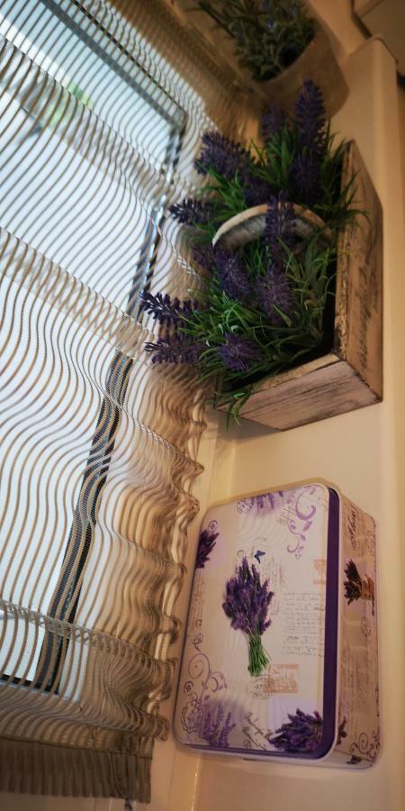 Diamond Apartment Târgu-Mureş エクステリア 写真